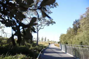 2025-06-21 Bartons Park - IMG_2466_compressed_q50.webp